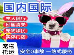 岳阳三荷机场物流国际宠物托运 【国
